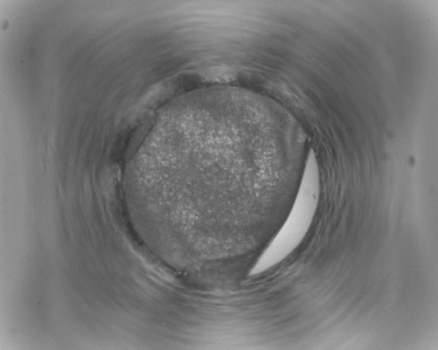 X0000069810229200606161857