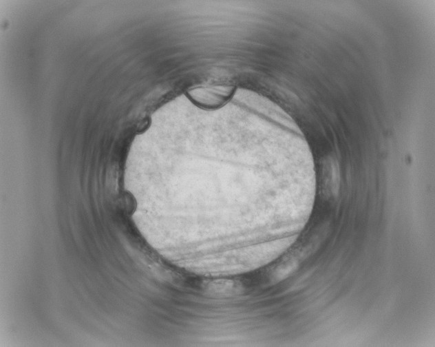 X0000069810230200606161857