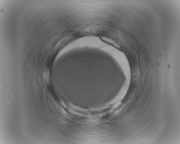 X0000069810231200606161857