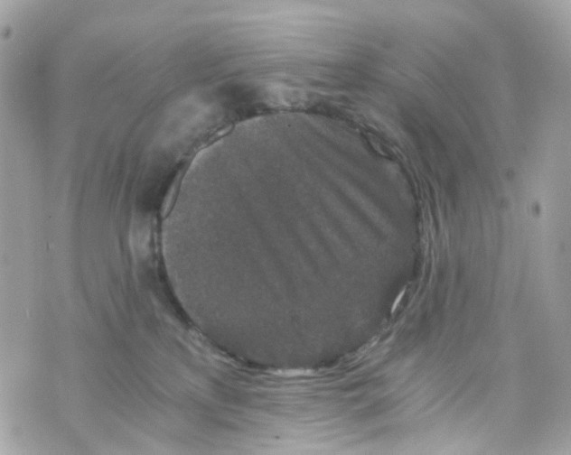 X0000069810233200606161857