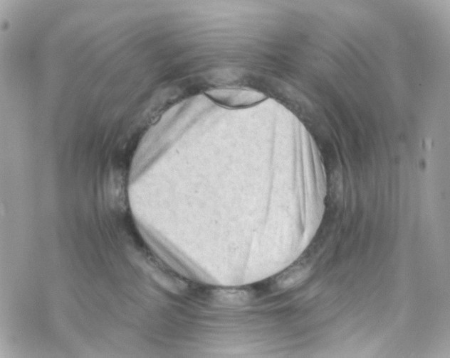 X0000069810234200606161857