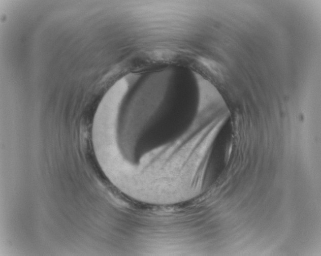 X0000069810235200606161857