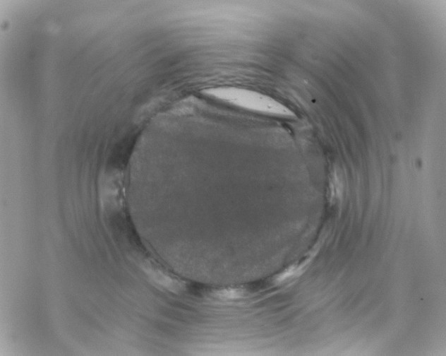 X0000069810237200606161857