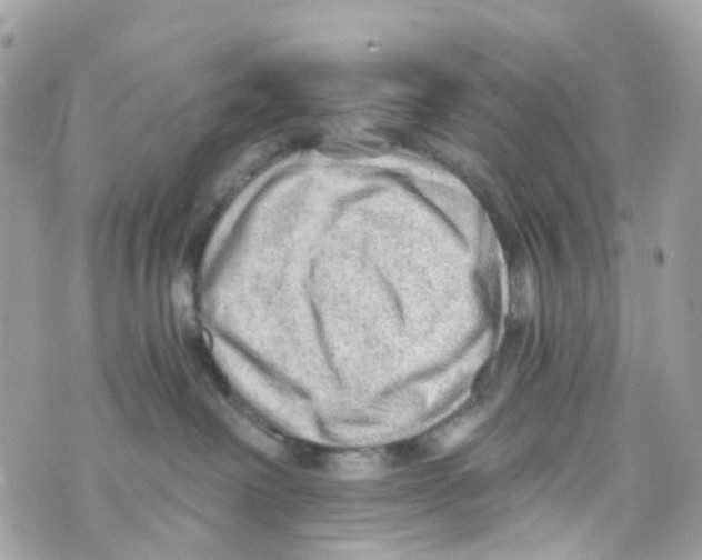 X0000069810238200606161857