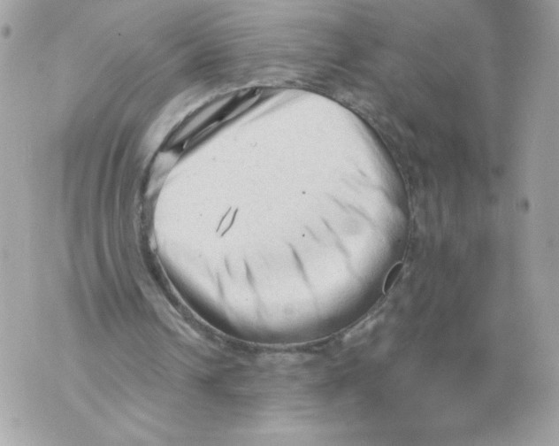 X0000069810242200606161856