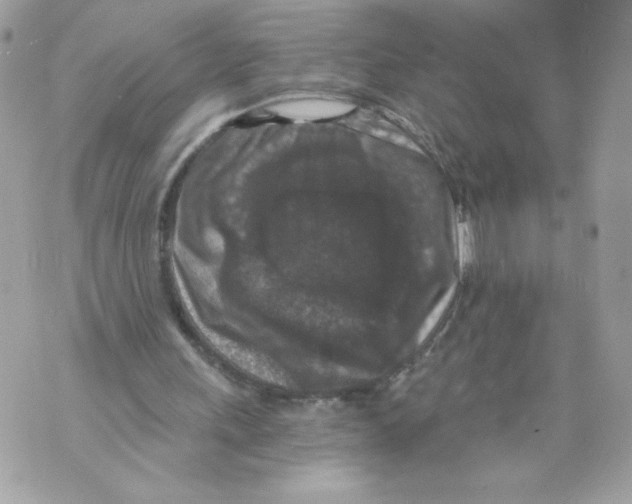 X0000069810243200606161856