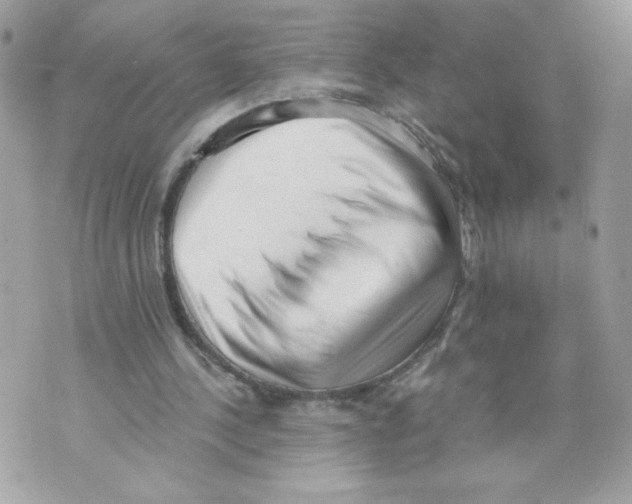 X0000069810244200606161856