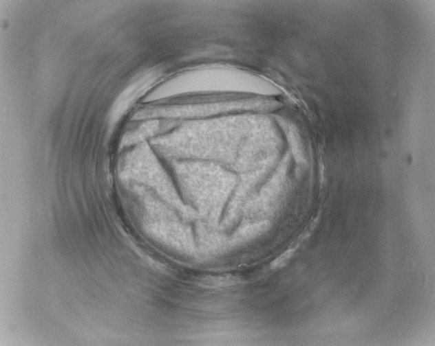 X0000069810245200606161856