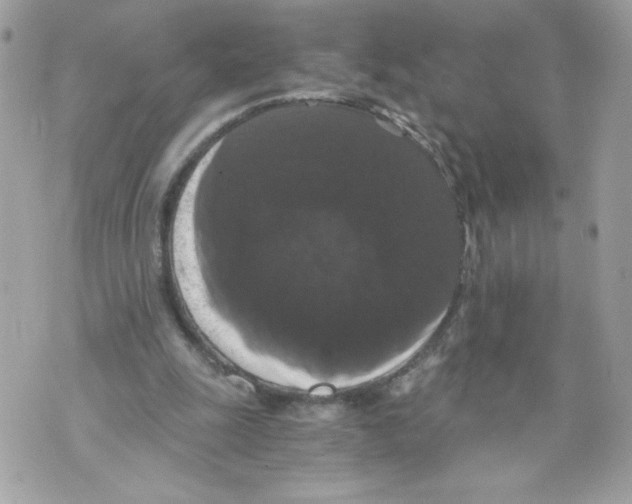 X0000069810247200606161856