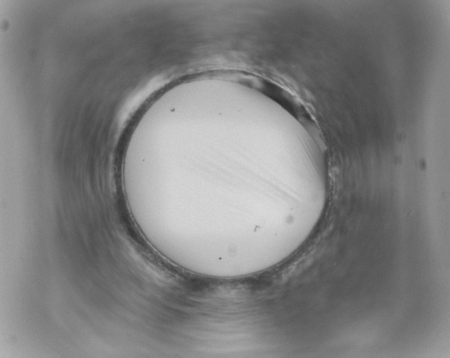 X0000069810248200606161856