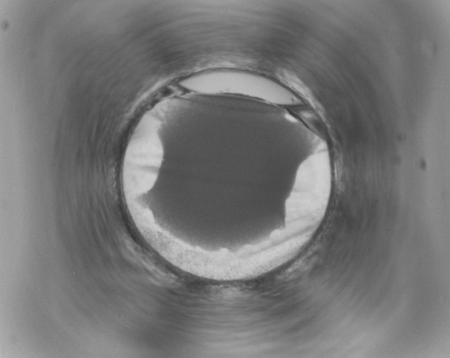 X0000069810249200606161856