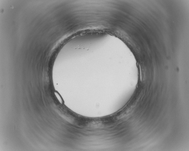 X0000069810252200606161857