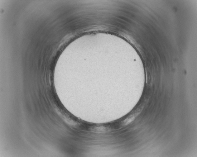 X0000069810253200606161857