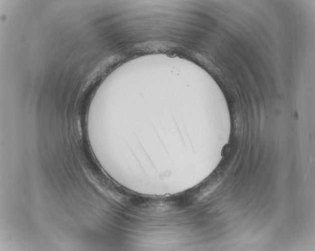 X0000069810254200606161857