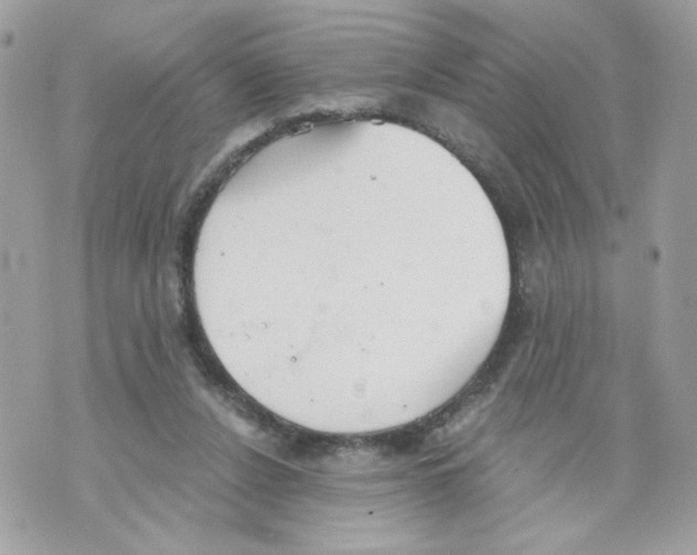 X0000069810256200606161857