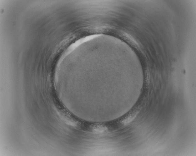 X0000069810258200606161857