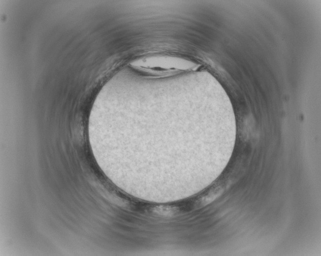 X0000069810261200606161857