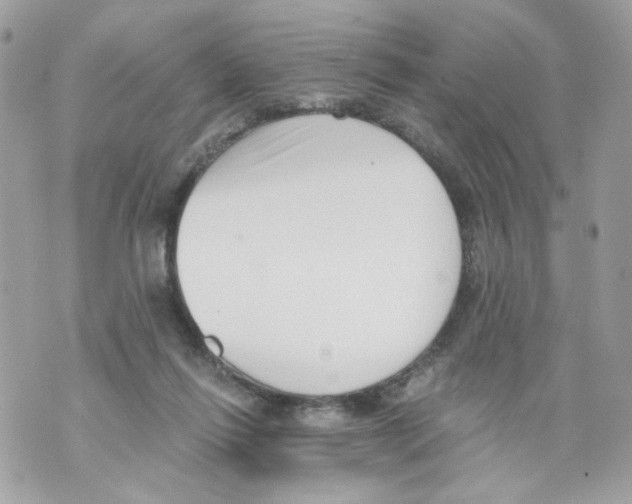 X0000069810262200606161857