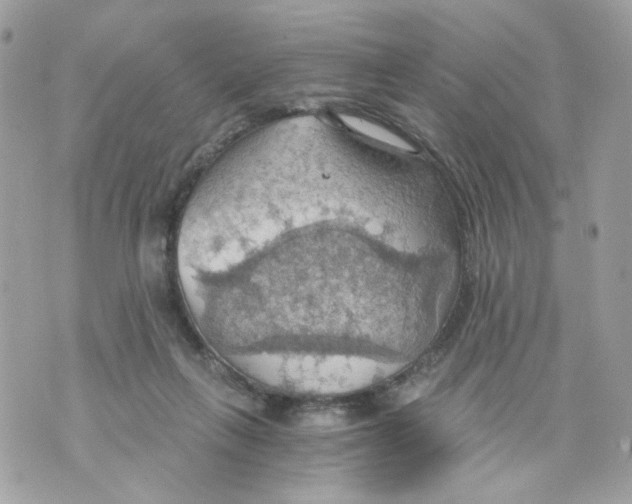 X0000069810263200606161857