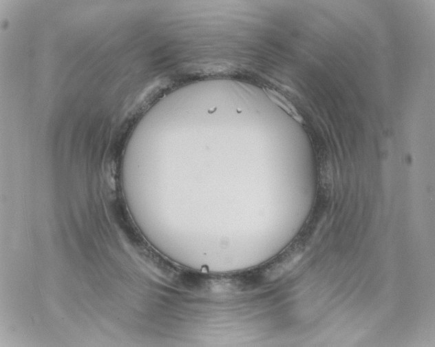 X0000069810264200606161857