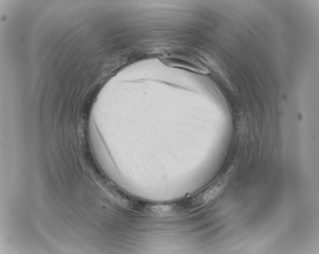 X0000069810265200606161857