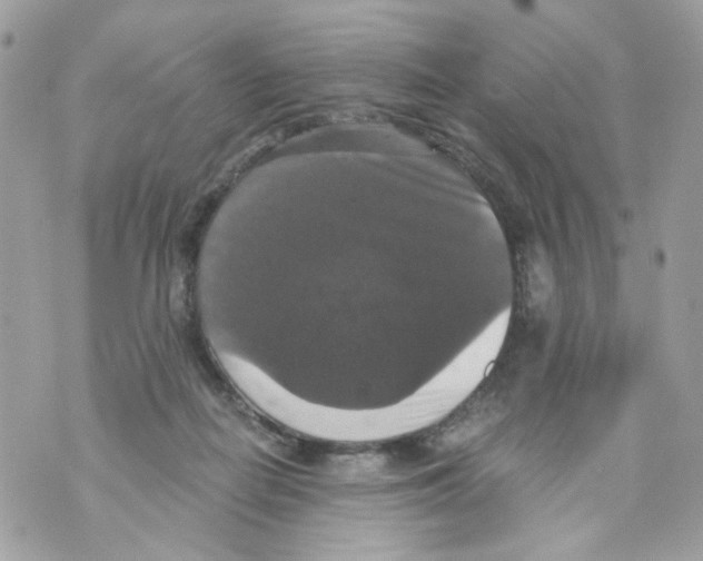 X0000069810266200606161857