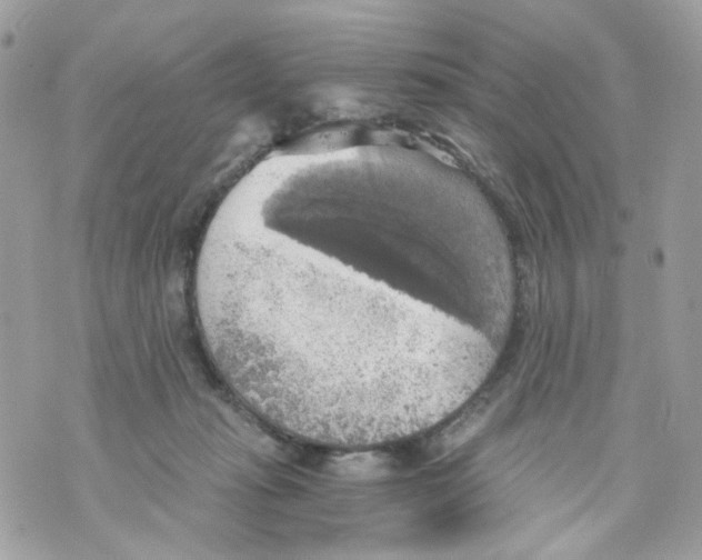 X0000069810269200606161857