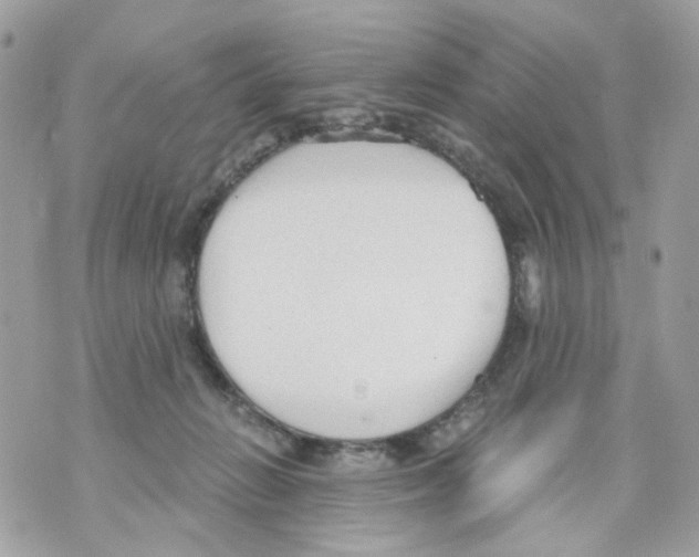 X0000069810270200606161857