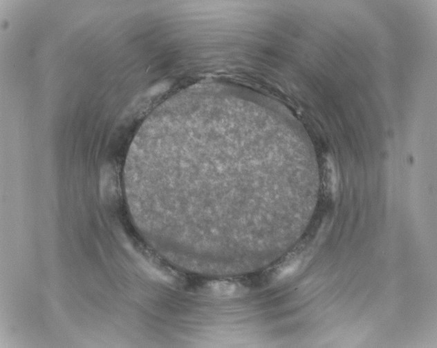 X0000069810272200606161857