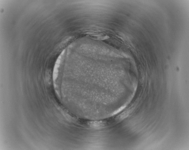 X0000069810273200606161857