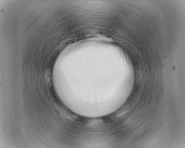 X0000069810274200606161857