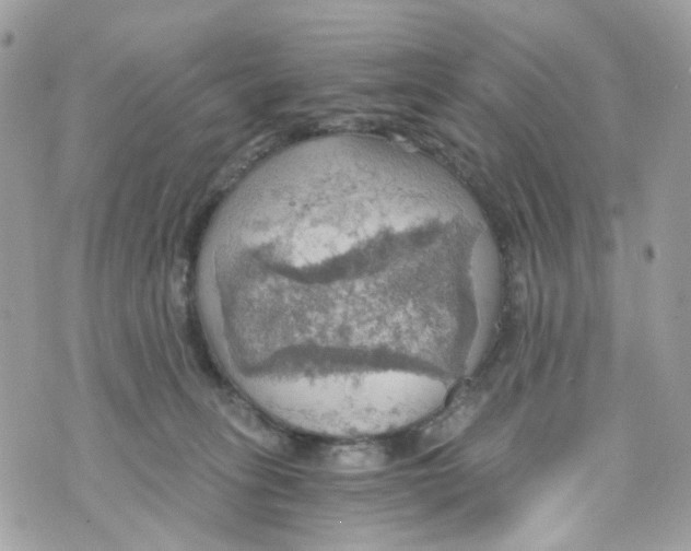 X0000069810275200606161857