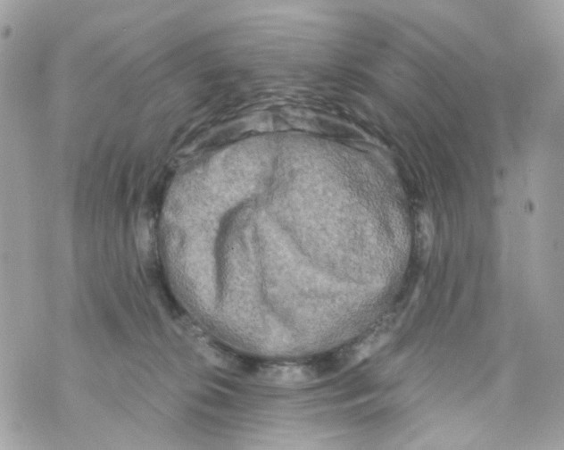 X0000069810276200606161857