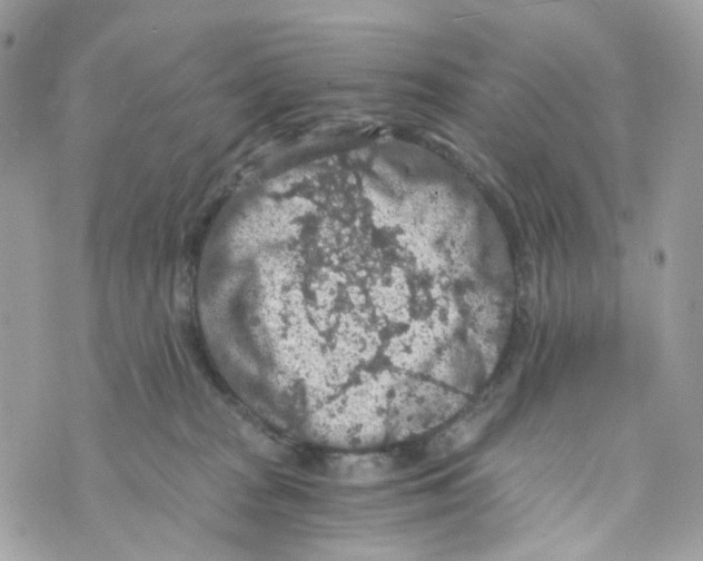 X0000069810277200606161857