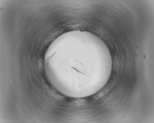 X0000069810278200606161857