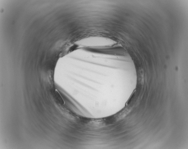 X0000069810280200606161857