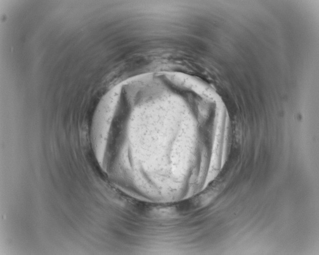 X0000069810283200606161857