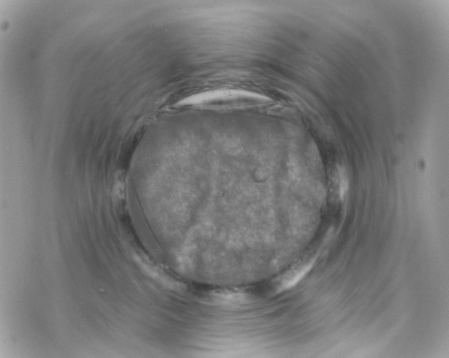 X0000069810284200606161857