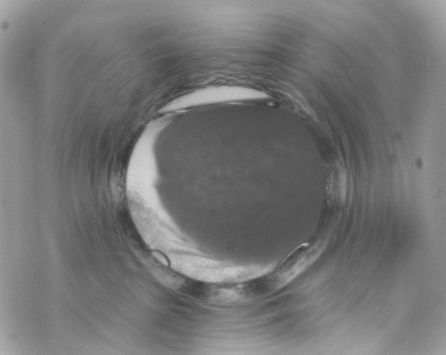 X0000069810285200606161857