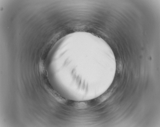 X0000069810287200606161857