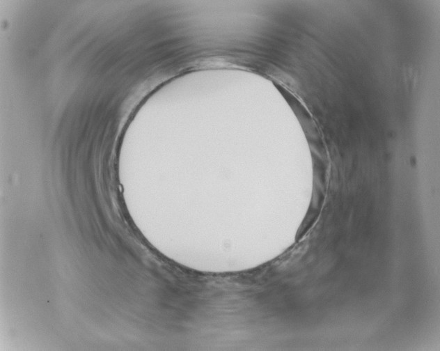 X0000069810289200606161856