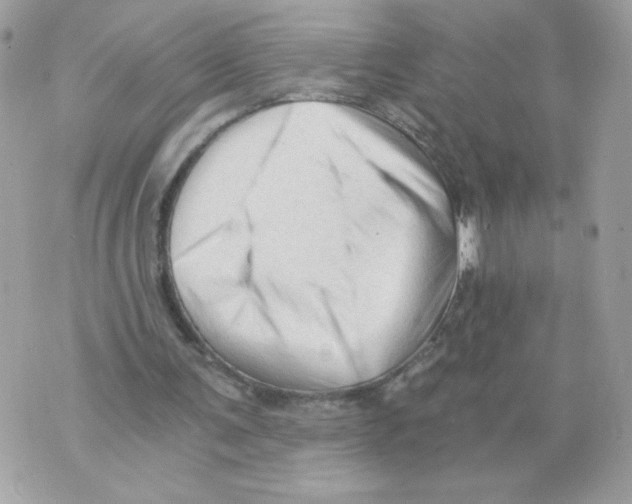 X0000069810291200606161856