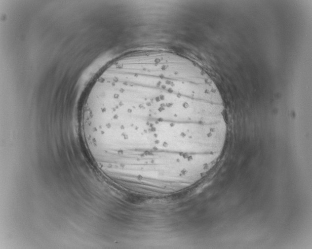 X0000069810294200606161856