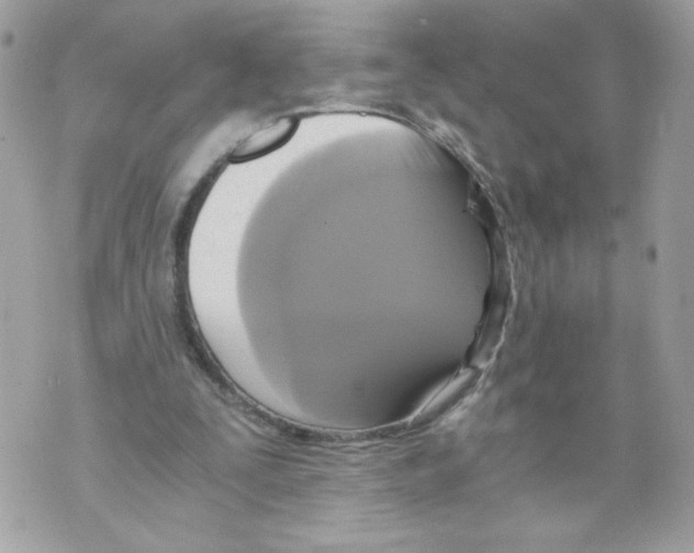 X0000069810295200606161856