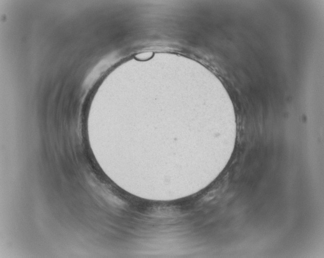 X0000069810296200606161856