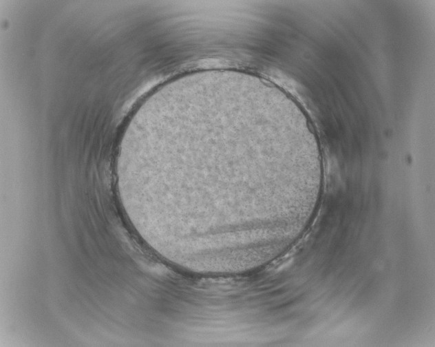 X0000069810297200606161856