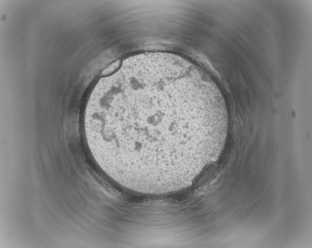 X0000069810299200606161856