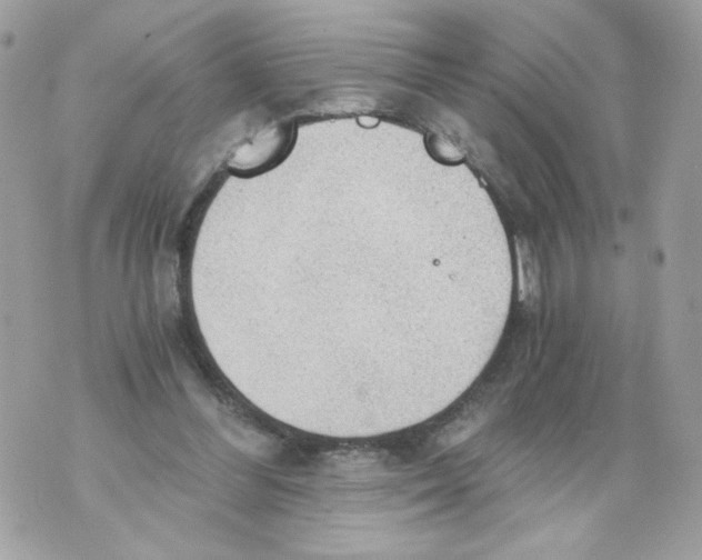 X0000069810300200606161856