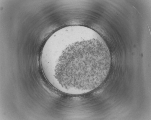 X0000069810302200606161856