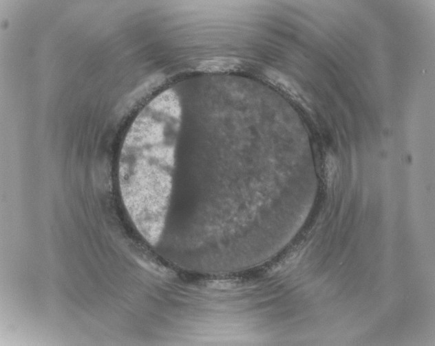 X0000069810303200606161856